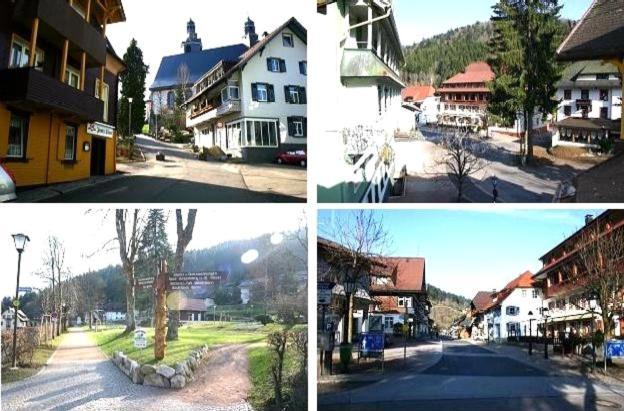 Hotel-Pension Waldeck Todtmoos Kültér fotó